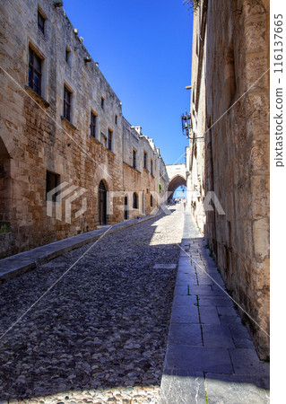 羅茲 羅茲 116137665