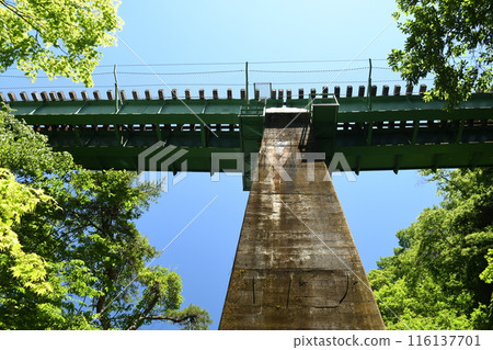 森林中的鐵橋 森林中的鐵橋 116137701