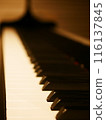 鋼琴鍵盤 116137845