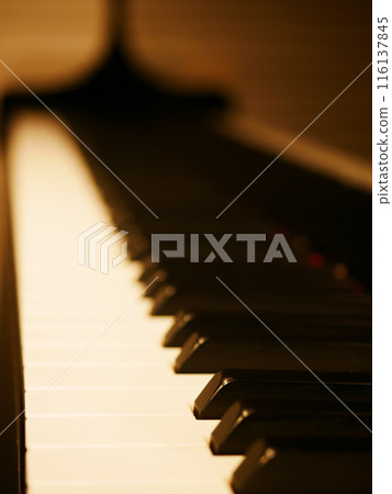 鋼琴鍵盤 116137845