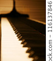 鋼琴鍵盤 116137846