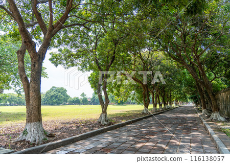 The courtyard of the Hue Imperial Palace, a World Heritage Site that preserves the splendor of Vietnam's last dynasty 116138057