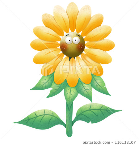 Cute sunflower  116138107