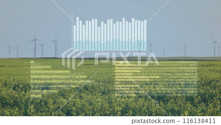 Image of data processing and diagrams over wind turbines on field 116138411