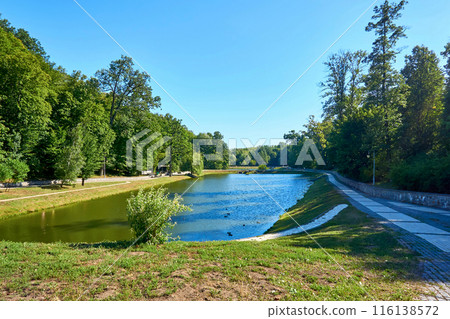Cozy pond in a forestry summer park. A good place for walks, rest, relaxation 116138572