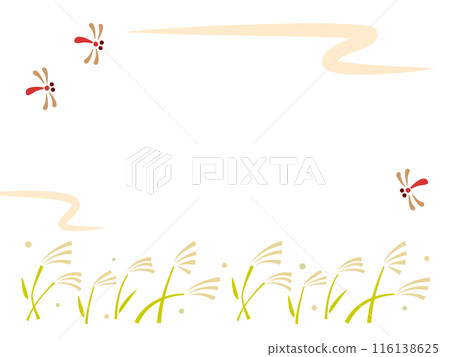 Dragonfly and silver grass frame 116138625