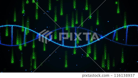 Image of dna strand over data processing on black background 116138937