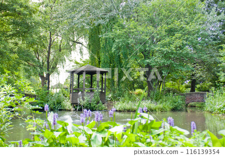 帶涼亭和池塘的花園 帶涼亭和池塘的花園 116139354