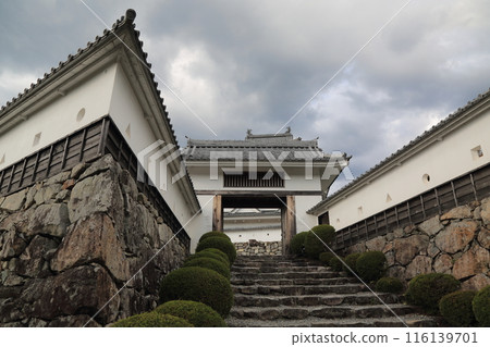 Walking around Gujo Hachiman Castle 29 (Hachiman-cho, Gujo City, Gifu Prefecture) 116139701