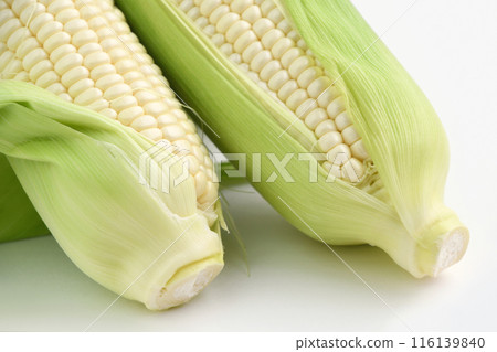 玉米（打發玉米） 116139840