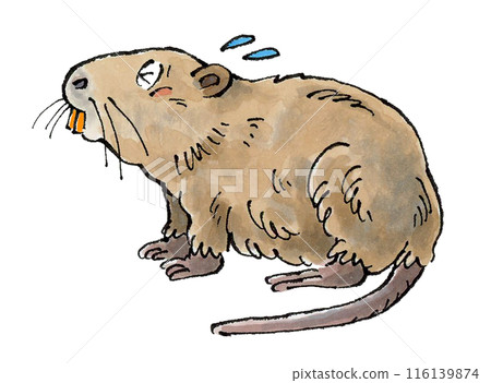 海狸鼠遇到麻煩了 116139874