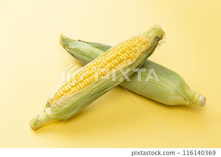 Fresh corn on a yellow background 116140369