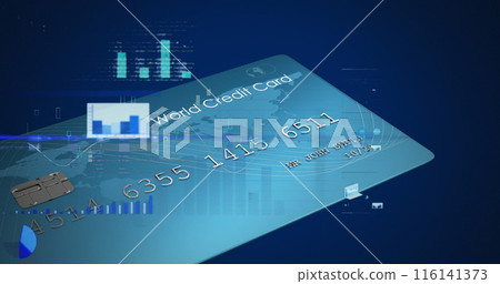 Image of financial data processing over credit card Image of financial data processing over credit card 116141373