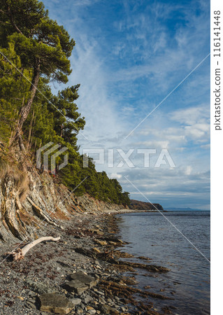 A rocky coastline with a steep, tree-covered cliff on the left and calm waters of the sea. The sky is partially obscured by clouds, creating a serene coastal scene. A rocky coastline with a steep, tree-covered cliff on the left and calm waters of the sea. The sky is partially obscured by clouds, creating a serene coastal scene. 116141448