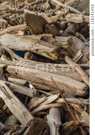 A pile of weathered pieces of driftwood of various sizes and shapes is scattered on the rocky shore. The wood looks aged and weathered, with noticeable cracks and texture. Wood background. A pile of weathered pieces of driftwood of various sizes and shapes is scattered on the rocky shore. The wood looks aged and weathered, with noticeable cracks and texture. Wood background. 116141458