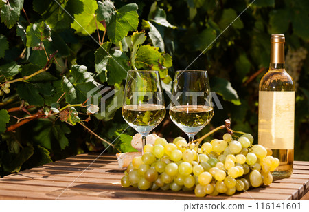 Glass of White wine ripe grapes and bread on table in vineyard Glass of White wine ripe grapes and bread on table in vineyard 116141601