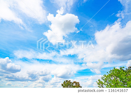 夏天的雲和樹 夏天的雲和樹 116141637