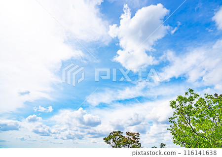 夏天的雲和樹 116141638