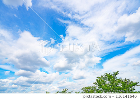 Summer clouds and trees Summer clouds and trees 116141640