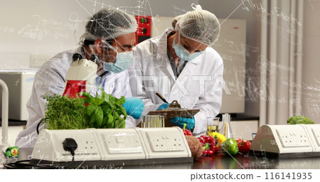 Diverse couple wearing lab coats are examining vegetables in lab Diverse couple wearing lab coats are examining vegetables in lab 116141935