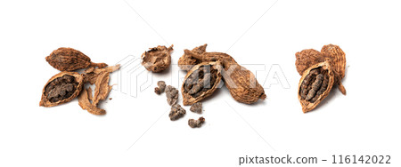 Black Cardamom Seeds Isolated, Brown Cardamon, Dry Kardamon Fruits, Cardamum Spice, Cardamomum Black Cardamom Seeds Isolated, Brown Cardamon, Dry Kardamon Fruits, Cardamum Spice, Cardamomum 116142022