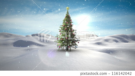 A decorated Christmas tree stands alone in snowy landscape A decorated Christmas tree stands alone in snowy landscape 116142042