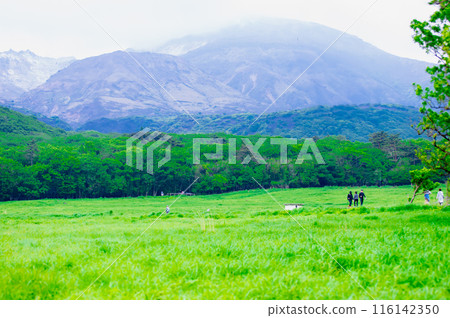 Early summer in Kokonoe Iida Highlands - Tadewara Marshland 116142350