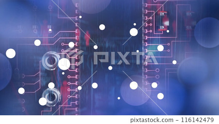 Image of graphs and diverse data processing on navy digital screen 116142479