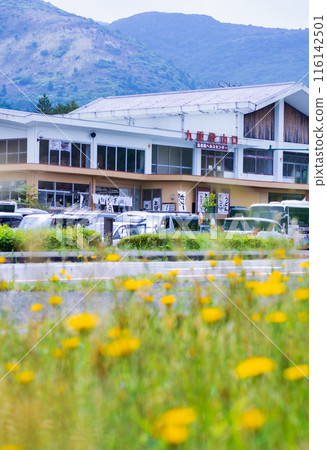 Early summer in Kokonoe Iida Highlands - Tadewara Marshland 116142501