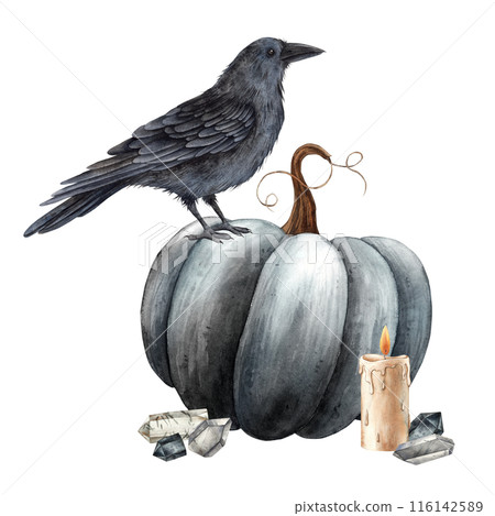 Black pumpkin, realistic black raven, wax candle with fire and crystals. Watercolor illustration in gothic style. Suitable for holiday and autumn themed Halloween designs, cards, posters, decorations 116142589