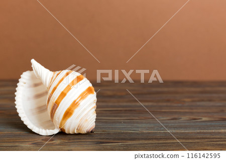 Summer time concept with sea shells or starfish on a table background with copy space for text 116142595