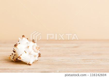 Summer time concept with sea shells or starfish on a table background with copy space for text 116142604