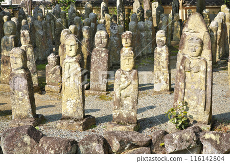 [Rakanji Temple] Hyogo Prefecture, Kasai City, Hojo-cho, Hojo 116142804