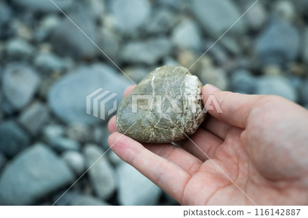 river stones 116142887