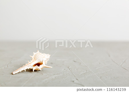 Summer time concept with sea shells or starfish on a table background with copy space for text 116143239