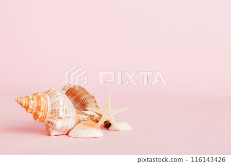 Summer time concept with sea shells or starfish on a table background with copy space for text Summer time concept with sea shells or starfish on a table background with copy space for text 116143426