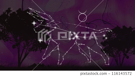 Image of taurus star sign with glowing stars over landscape with trees 116143572