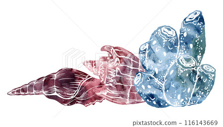Watercolor and ink hand drawn marine life, sea ocean underwater creatures. fish, shells algae seaweed. Composition illustration, stylized, isolated on white. For zoo shop, aquarium, cosmetics, resort 116143669