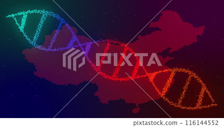 Image of dna strand spinning over map of china Image of dna strand spinning over map of china 116144552
