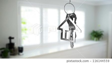 Image of silver key and house key ring over blurred house interior Image of silver key and house key ring over blurred house interior 116144559