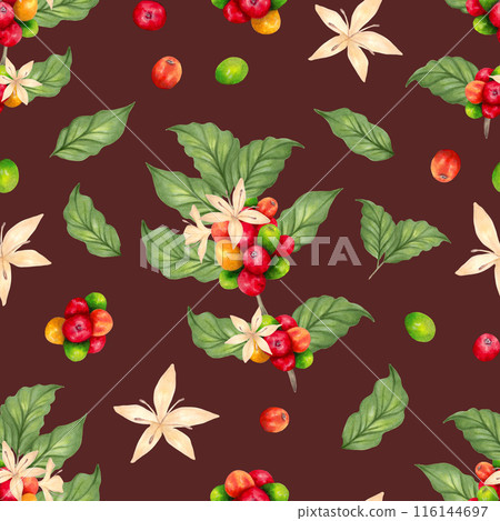 Seamless pattern of coffee branches, berries, flowers. Aroma of Robusta and Arabica varieties. Coffee Day. Watercolor illustration. Suitable for background, coffee packaging. Handmade isolated art. Seamless pattern of coffee branches, berries, flowers. Aroma of Robusta and Arabica varieties. Coffee Day. Watercolor illustration. Suitable for background, coffee packaging. Handmade isolated art. 116144697
