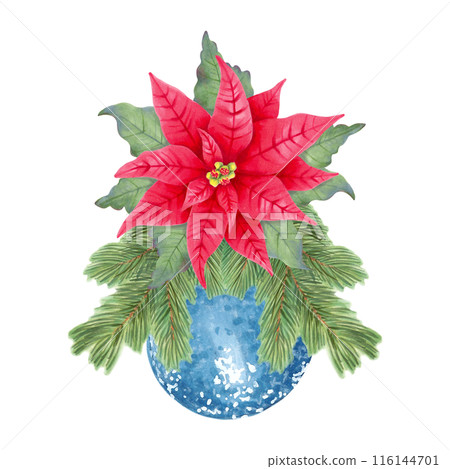 Pine branches are decorated with a poinsettia flower and a blue shiny Christmas tree decoration. Botanical watercolor illustration on the theme of New Year and Christmas. Hand drawn isolated clipart Pine branches are decorated with a poinsettia flower and a blue shiny Christmas tree decoration. Botanical watercolor illustration on the theme of New Year and Christmas. Hand drawn isolated clipart 116144701