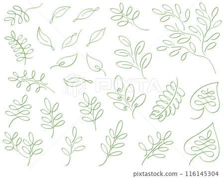 Green plant calligraphy line drawing illustration set 116145304