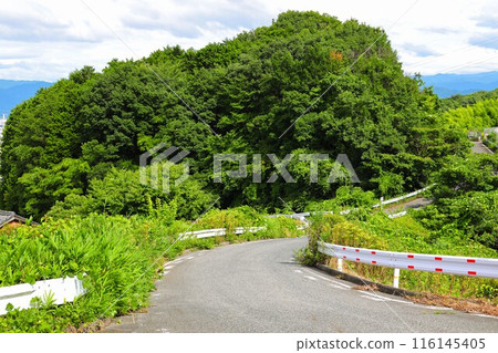 A refreshing highland road in summer A refreshing highland road in summer 116145405