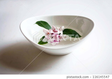 品味金鼠閣花香 品味金鼠閣花香 116145547