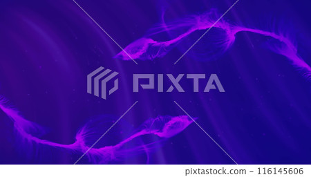 Image of light trails and purple shapes on blue background Image of light trails and purple shapes on blue background 116145606