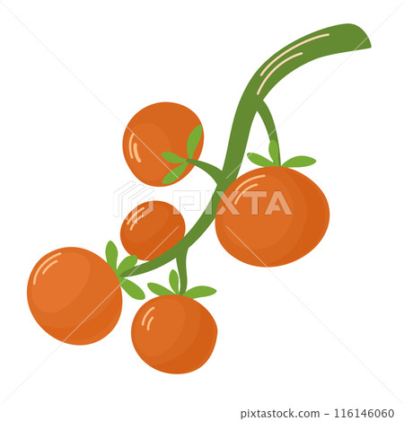 2069_vegetables_tomatoes 2069_vegetables_tomatoes 116146060