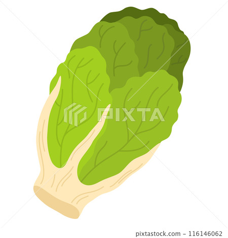 2064_vegetables_napa 116146062