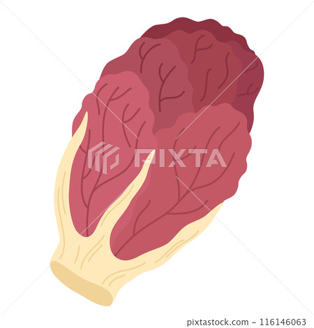 2071_vegetables_redleaf 2071_vegetables_redleaf 116146063