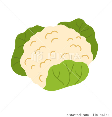 2061_vegetables_cauliflower 116146162